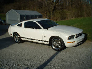 2006stang.jpg