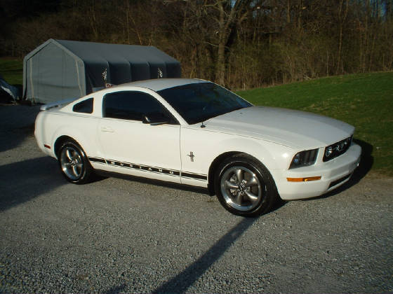 2006stang.jpg