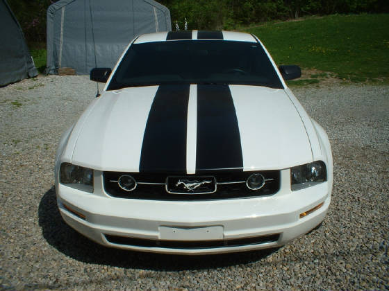 2006stang1.jpg