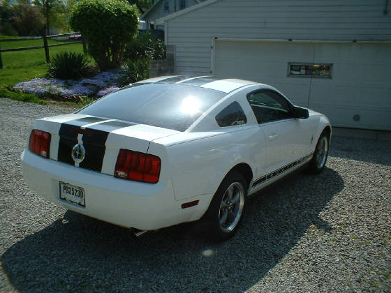 2006stang3.jpg