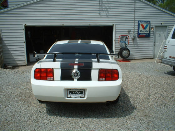 2006stang4.jpg