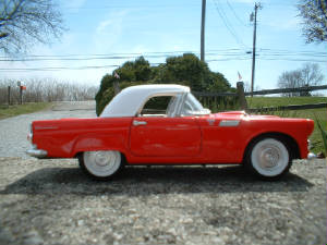 thunderbird.jpg