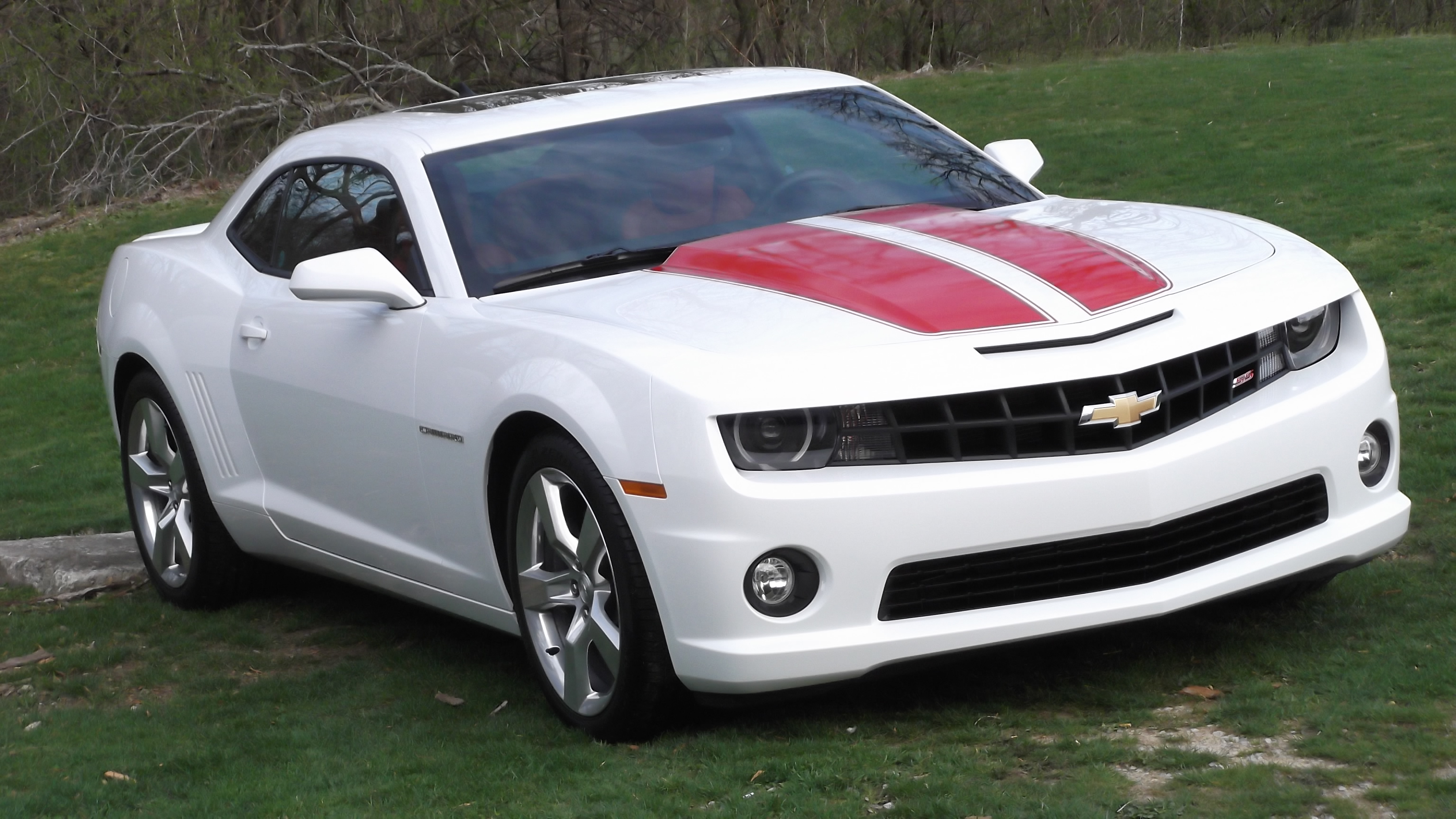 2010camaro.JPG